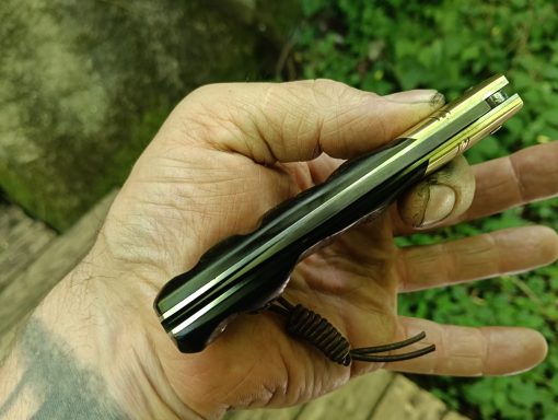 Pointeur laser noir tenu dans une main, fond verdoyant flou.