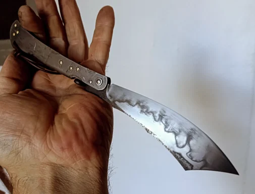 Bowiemontais